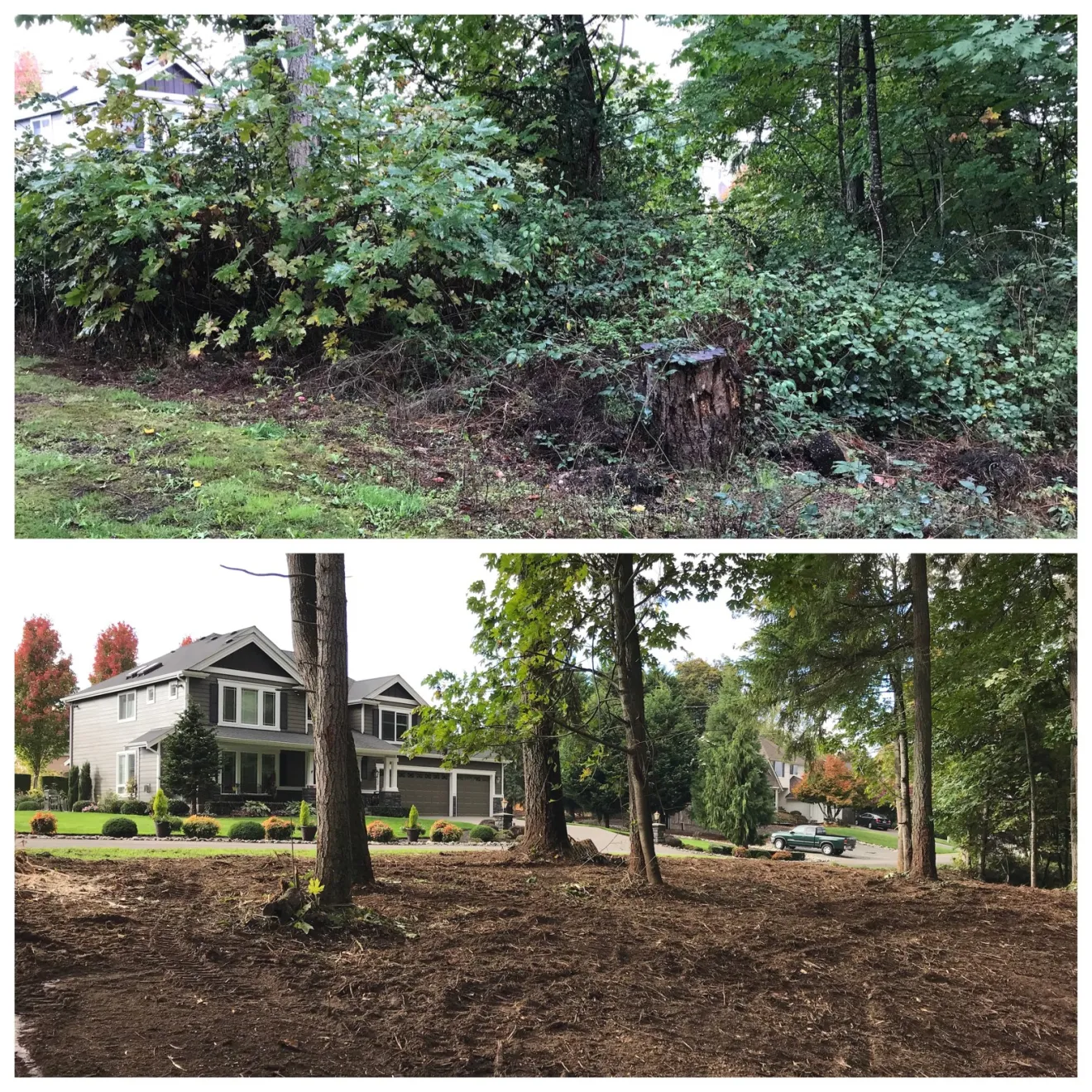 5-star land clearing services in Indianapolis by Indy Trash Guy